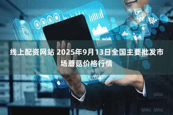 线上配资网站 2025年9月13日全国主要批发市场蘑菇价格行情